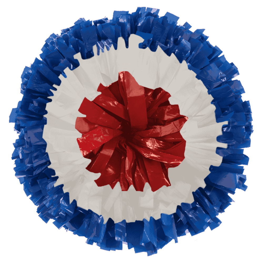 Bullseye Plastic Junior Poms