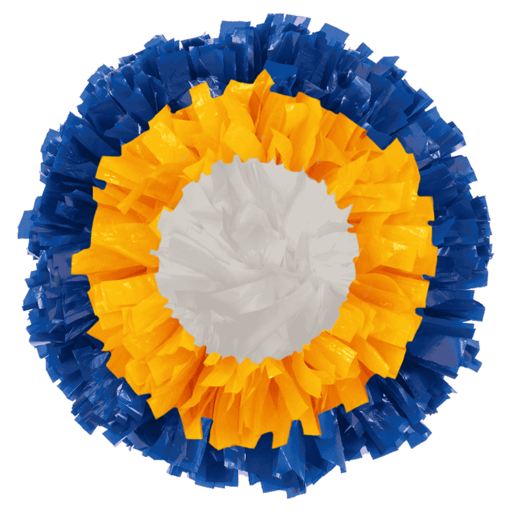 Custom Bullseye Wet Look Wet Look Junior Poms