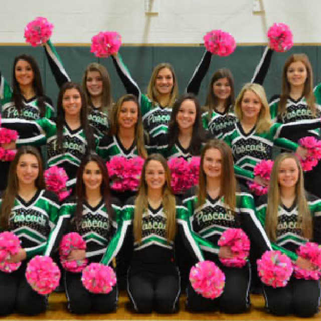 Neon Pink Plastic with Iridescent Flash Poms