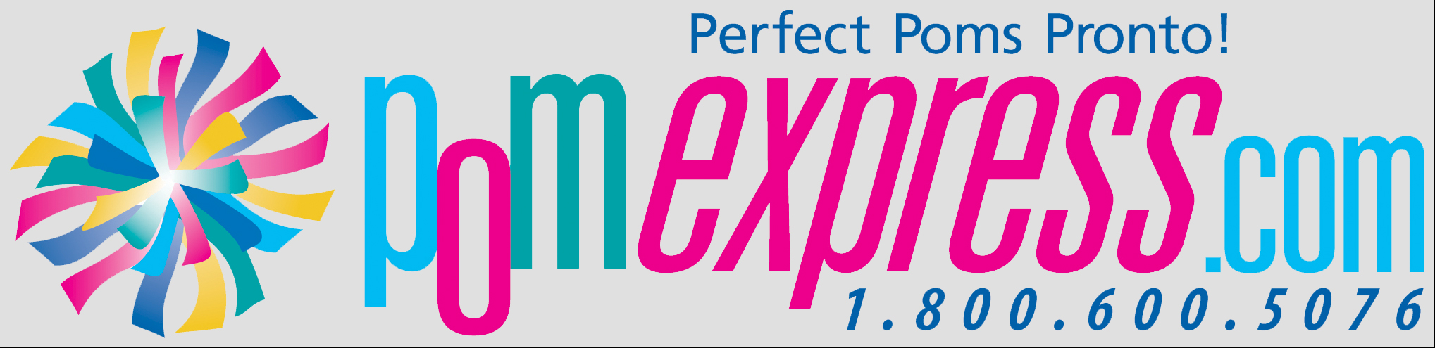 pom express logo with e0e0e0 background