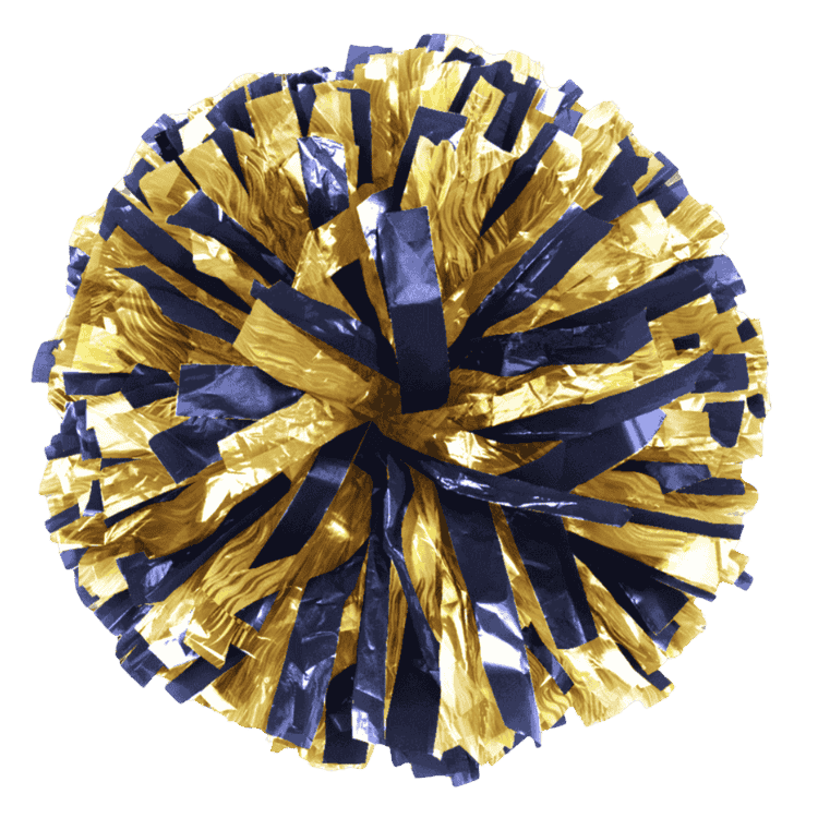 Specialty-Metallic Custom  Mix Show Poms
