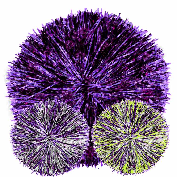 [X-Long/Full] Custom Specialty Narrow Streamer Poms: 1, 2 or 3 Colors